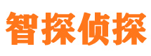 上栗市私家侦探